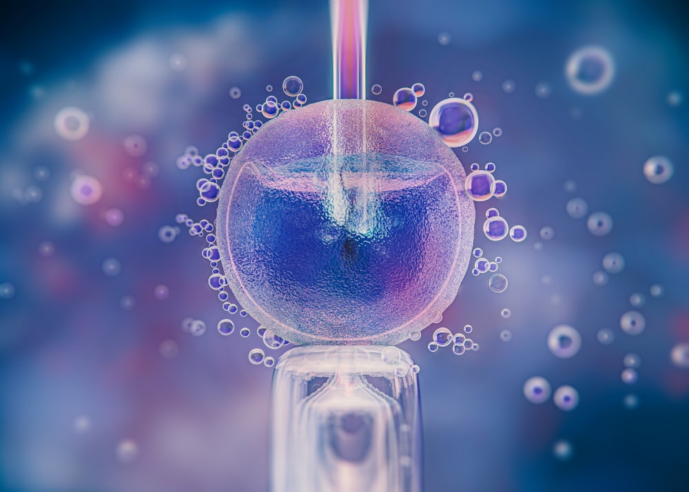 Fertilização In Vitro (FIV): O Caminho para Realizar o Sonho de Ser Mãe