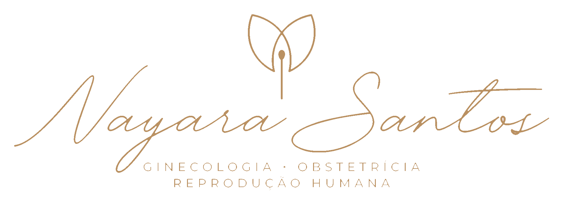 Dra. Nayara Santos